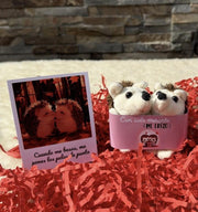 LoveBox Small - Mini Erizos - 