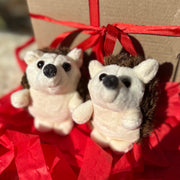 LoveBox Small - Mini Erizos - 