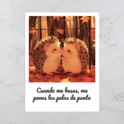 LoveBox Small - Mini Erizos - 