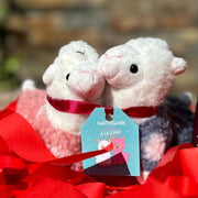 LoveBox Small - Mantengamos viva a la Llama🦙🔥❤️